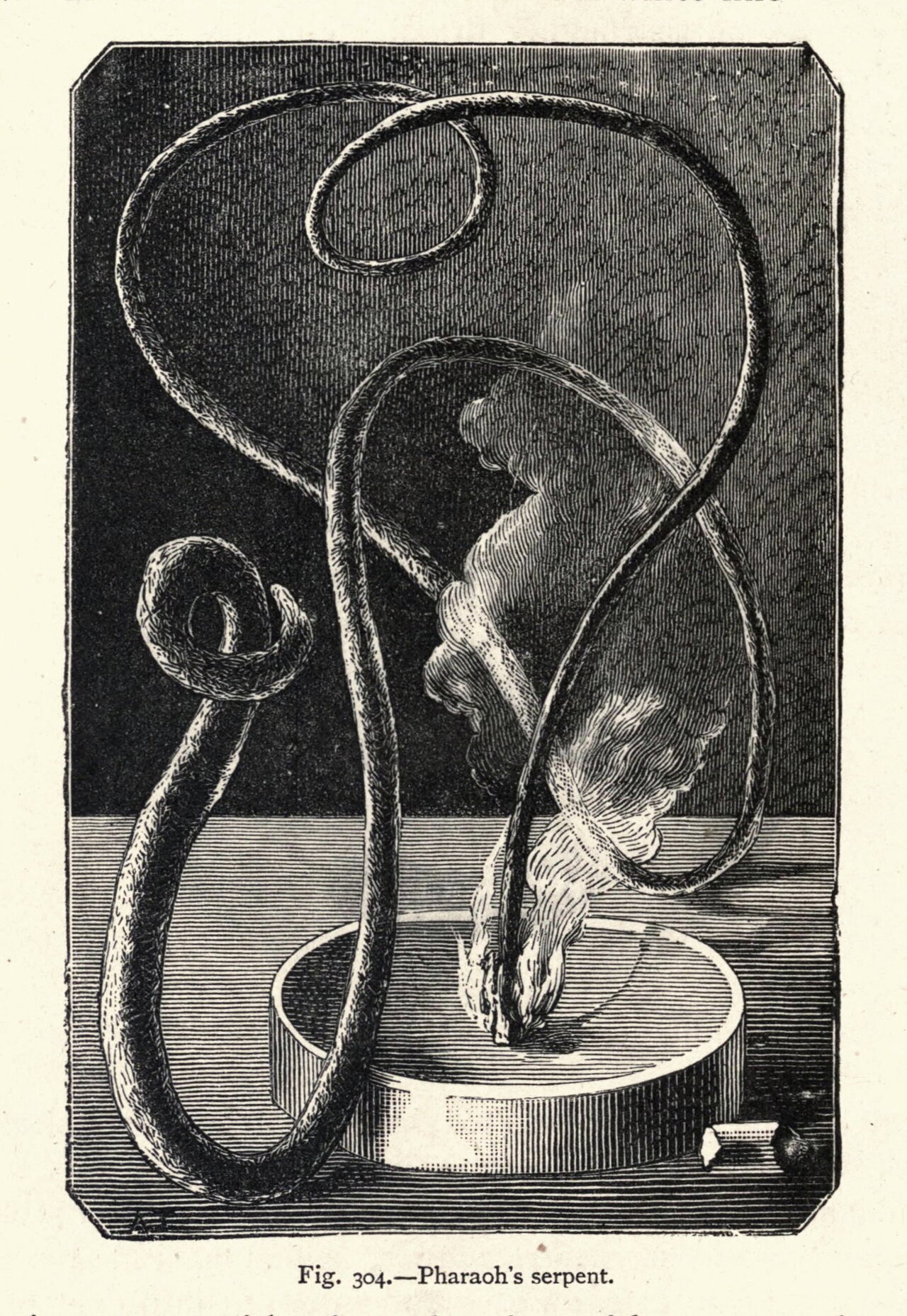 Repeated it unsquire undergo elaeosaccharum.